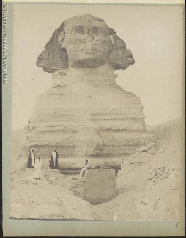 Sphinx armachis