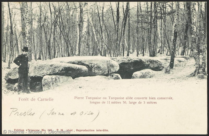 Presles - Forêt de Carnelle - Pierre Turquoise