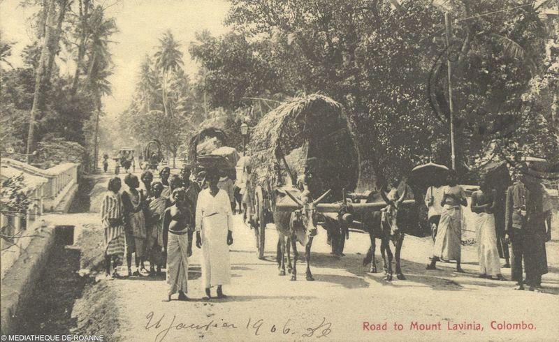 Road to Mount Lavinia, Colombo.