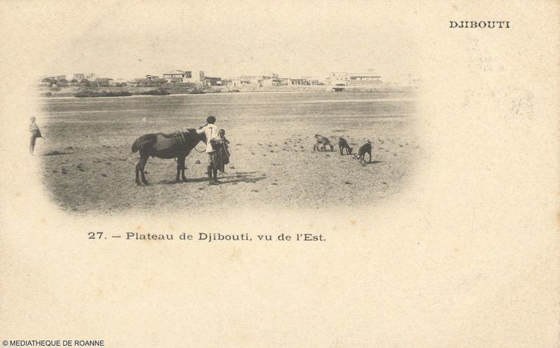 DJIBOUTI. Plateau de Djibouti, vu de l'Est