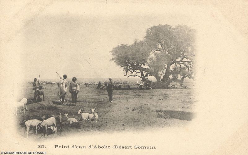 Point d'eau d'Aboko (Désert Somali).