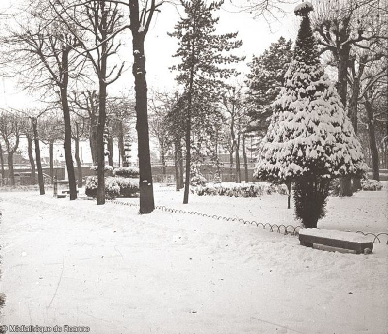 Roanne - Arbres d'un parc sous la neige.