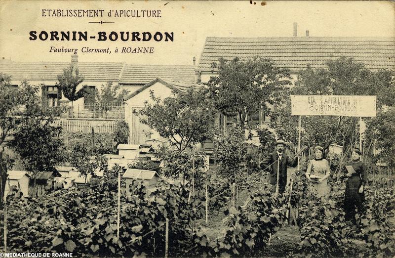 Etablissement d'apiculture SORNIN-BOURDON -Faubourg Clermont, à ROANNE