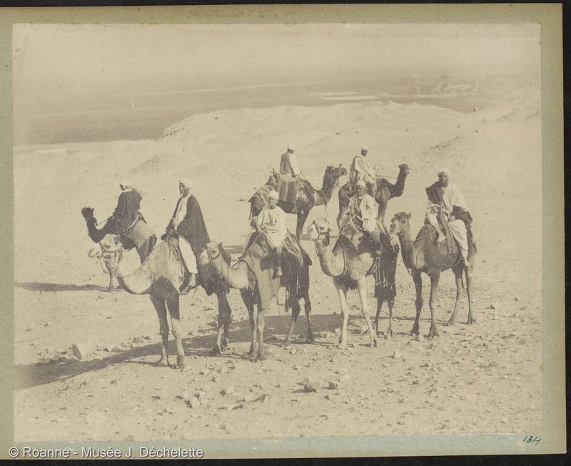 Groupe des chameaux