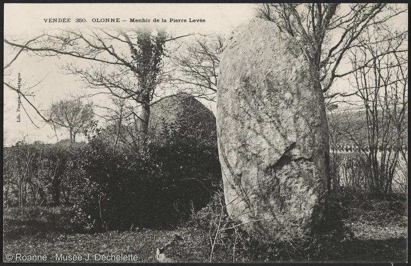 Olonne - Menhir de la Pierre Levée