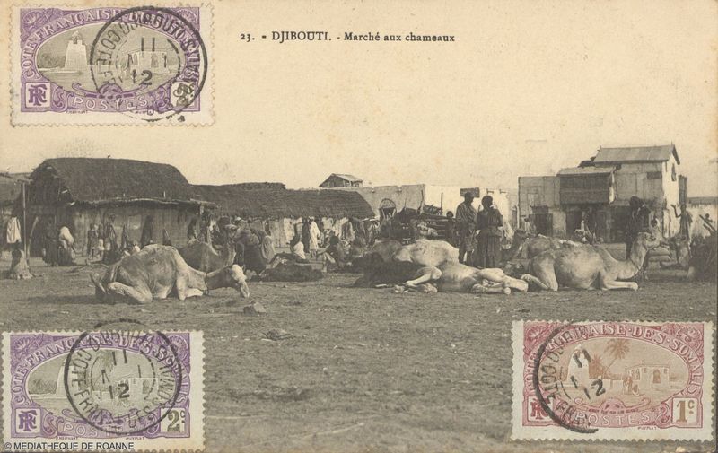DJIBOUTI - Marché aux chameaux.