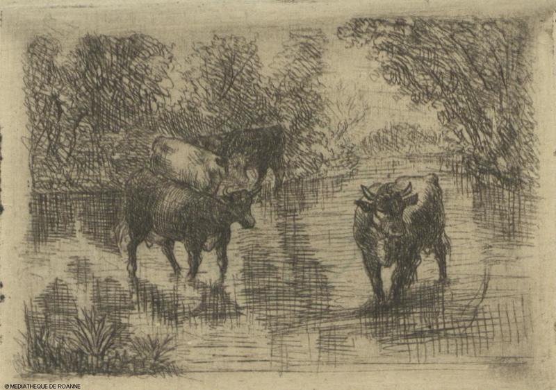 Vaches dans une rivière