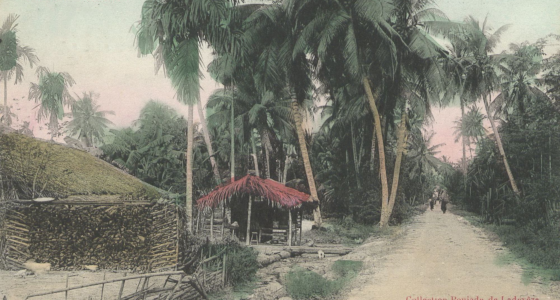 carte postale