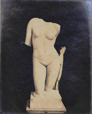 Torso di Venere