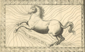 Le parfait mareschal qui enseigne a connoistre la beauté, la bonté et les deffauts des chevaux