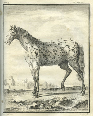 Histoire naturelle générale et particulière