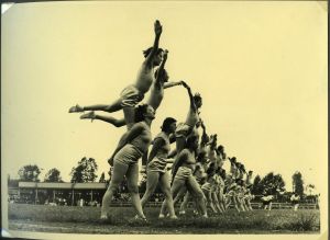 Gymnastique