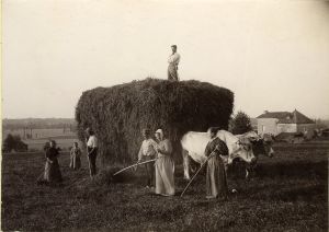 L'Angelus pendant les fenaisons 